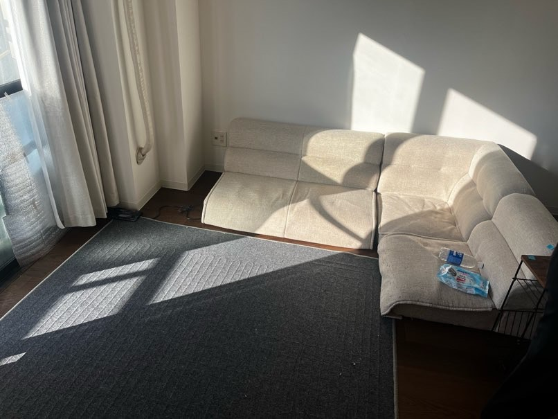 常滑市の引っ越しに伴うソファ・ラグ等の不用品回収事例-ビフォー