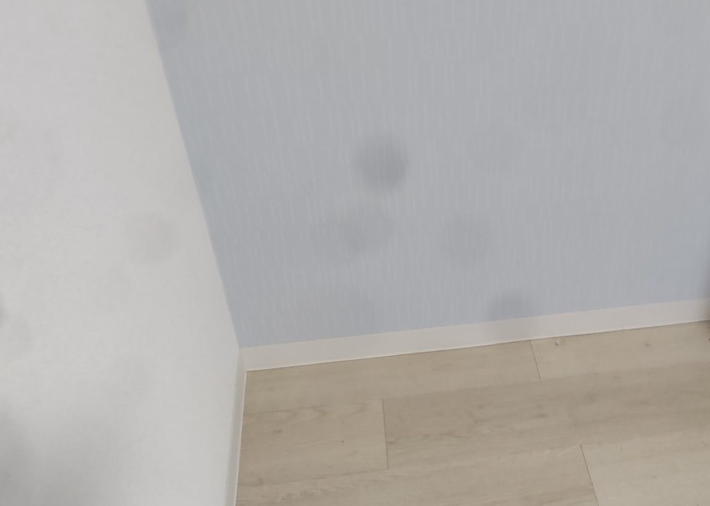 箱根町の引っ越し後に残った家具をまとめて回収した不用品回収事例-アフター