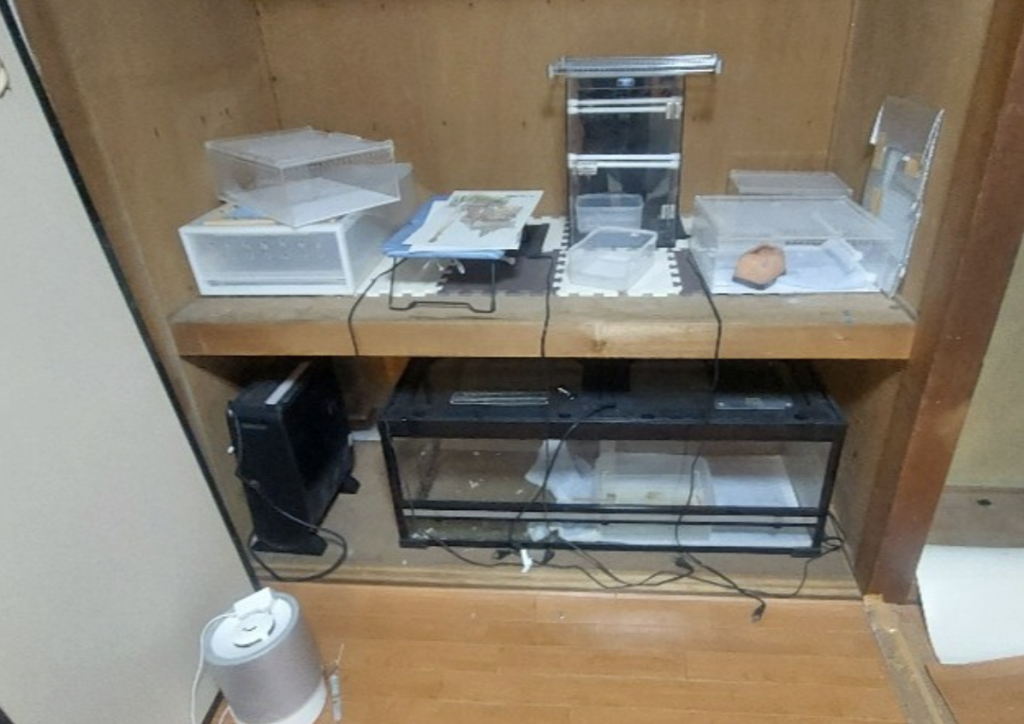 真鶴町の大掃除に伴う不用品回収事例-ビフォー