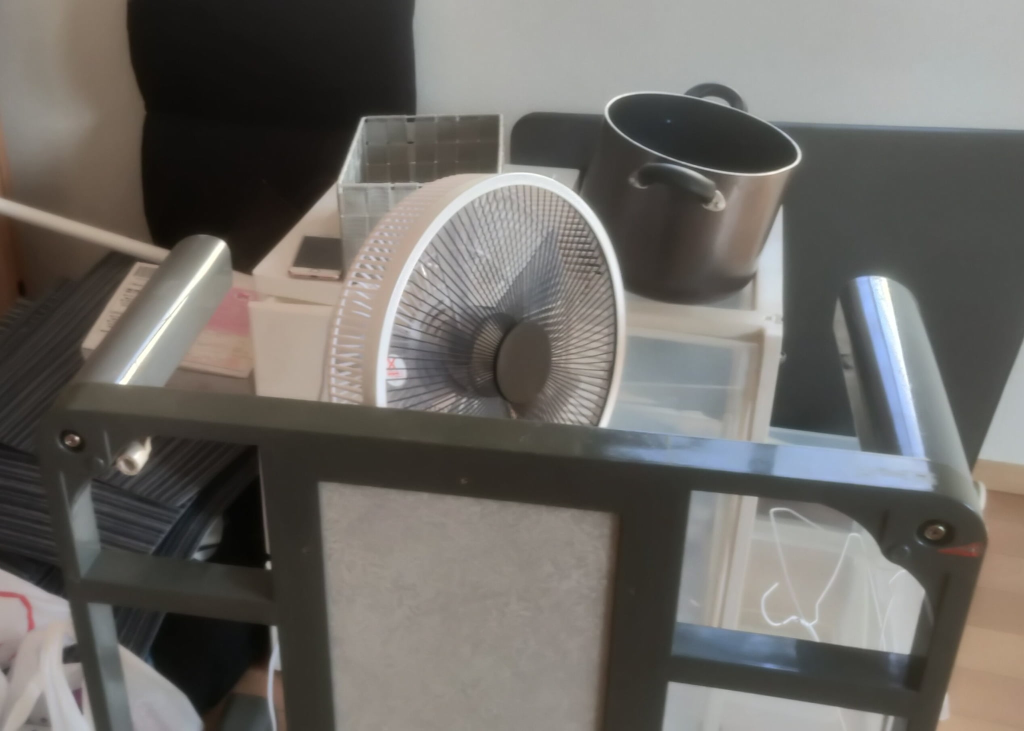 幸田町の大掃除を機にまとめて処分した不用品回収事例-ビフォー